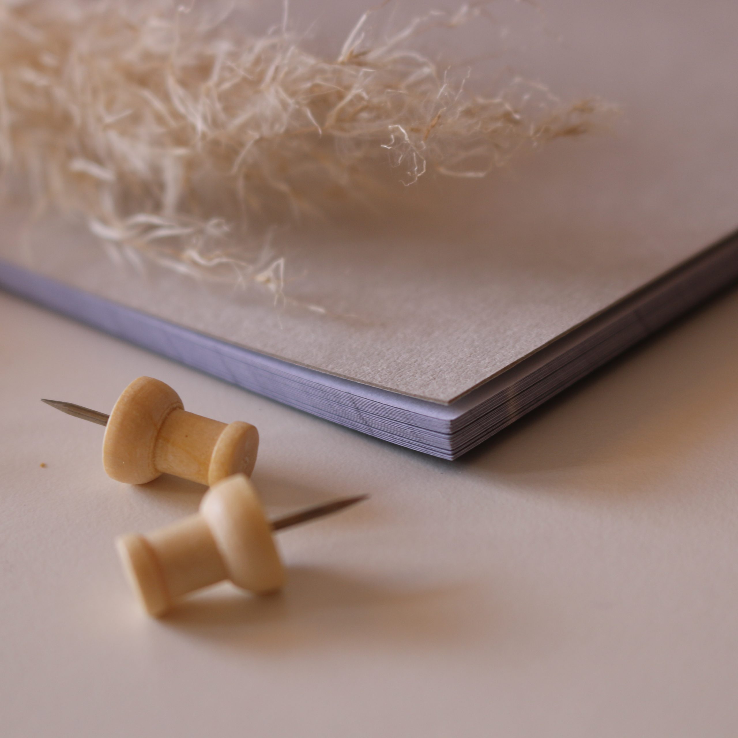 Monthly planner best 2023