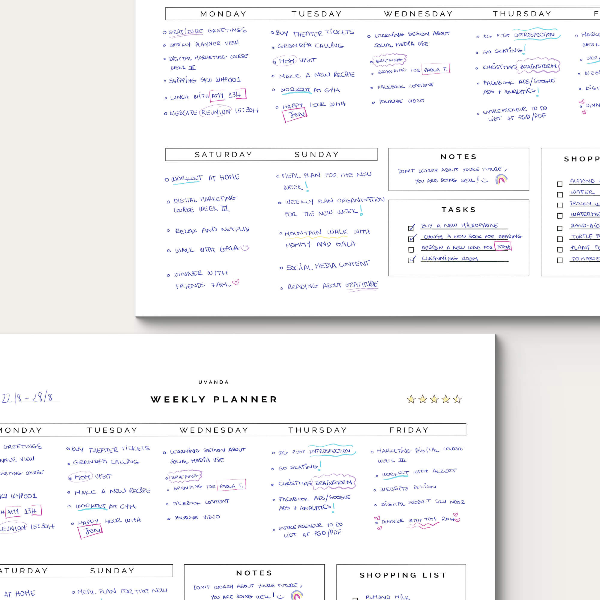 Daily Planner Undated Calendar how to use it