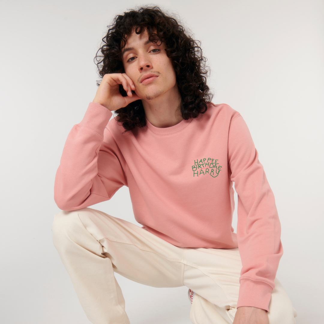 Cozy Harry Potter hoodie with Happee Birthdae Harry print, great gift for Potterheads