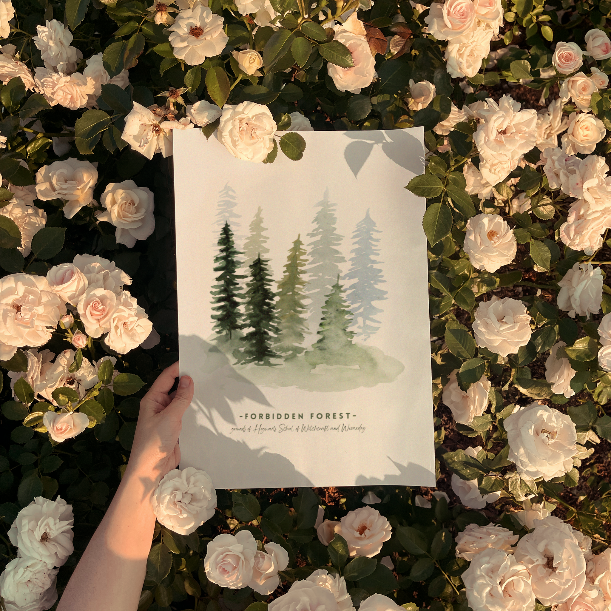 Forbidden Forest - Harry Potter - Image 3