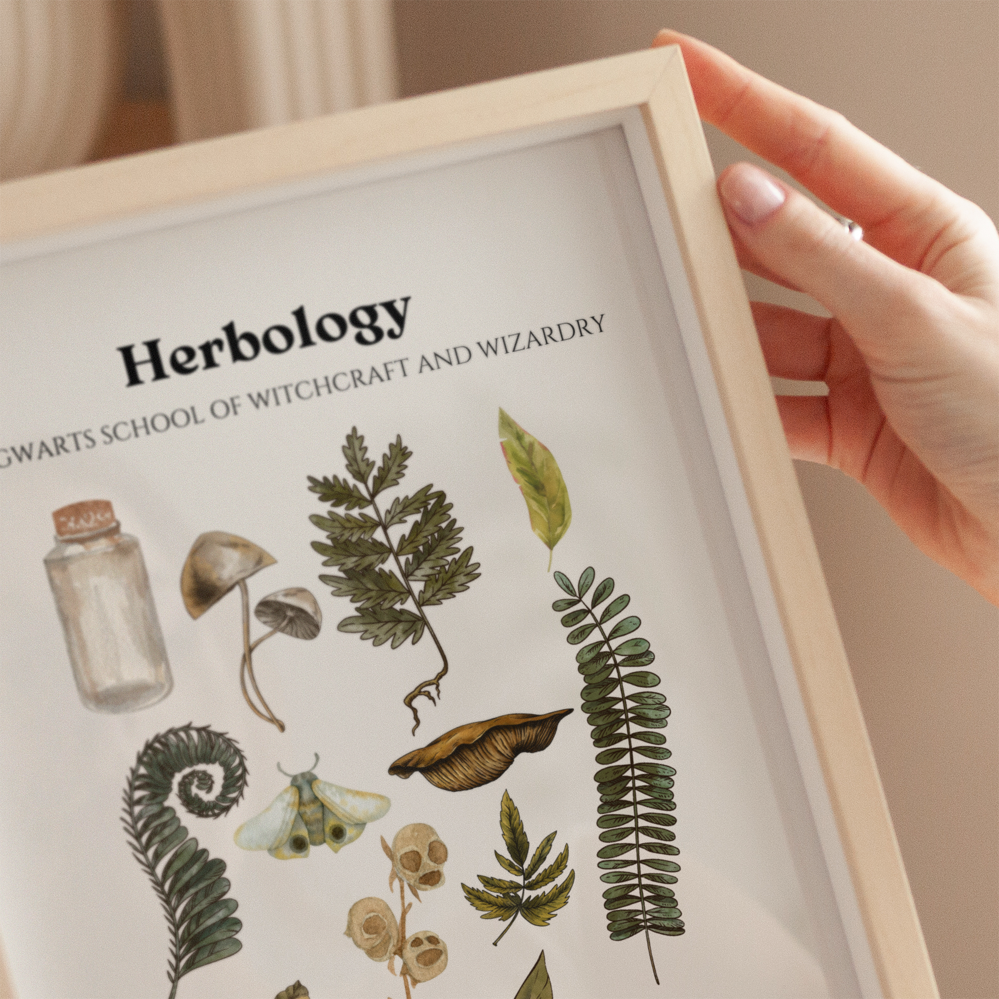 Herbology - Harry Potter - Image 7