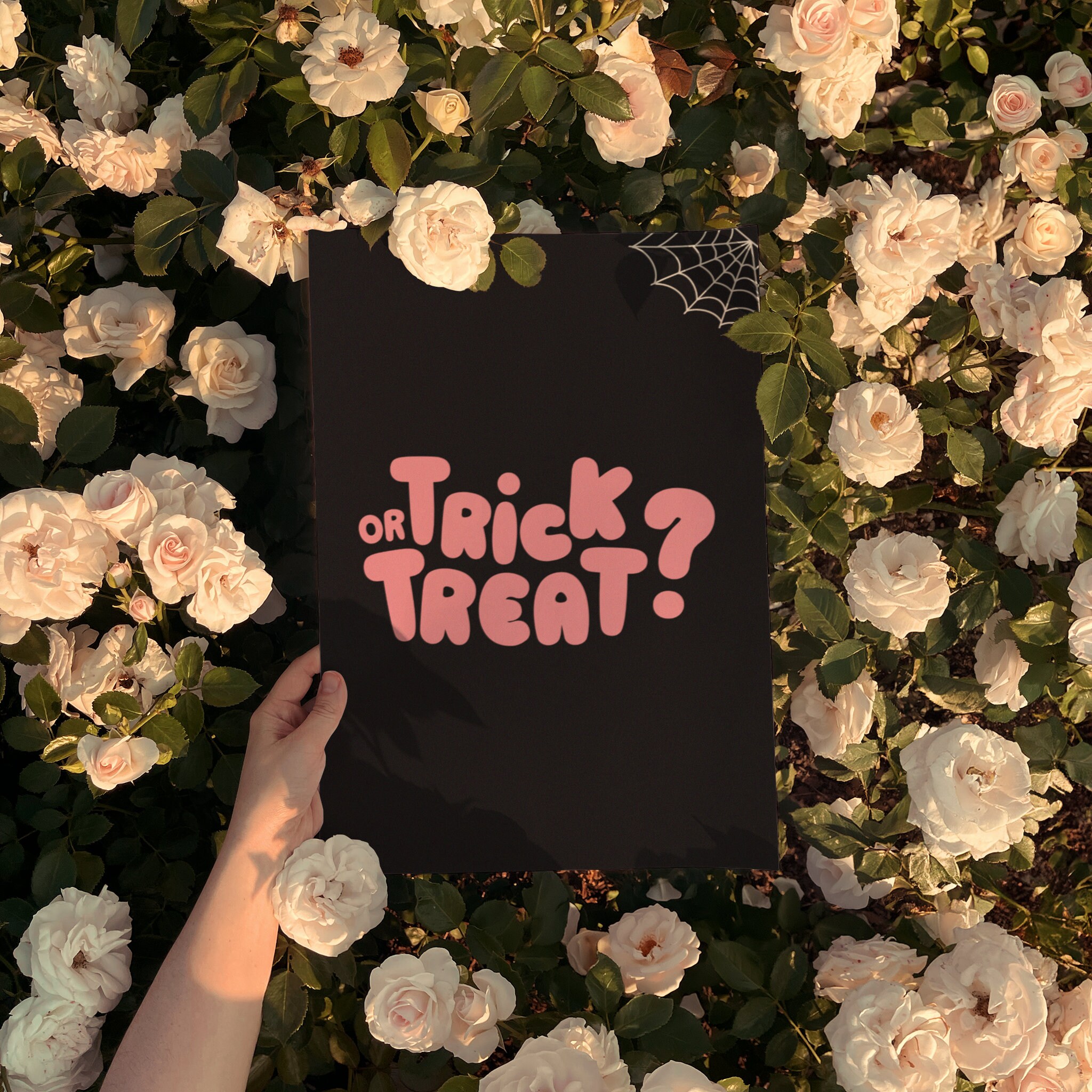 Trick or Treat print featuring playful spider web and pink accents