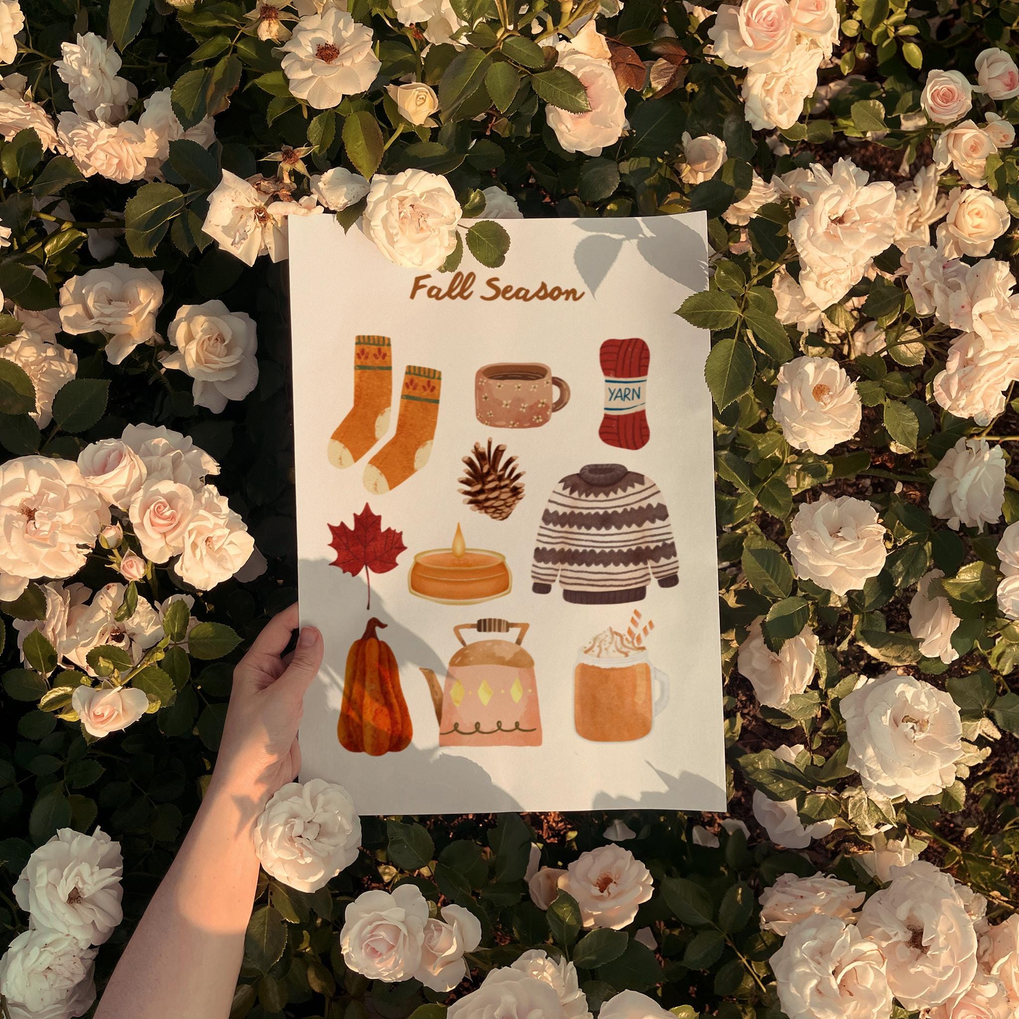 Fall Season - Image 5