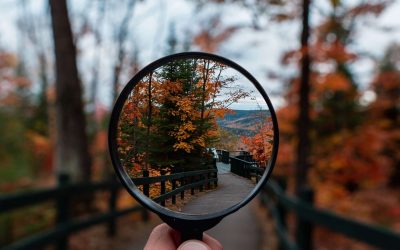 steven-wright-mq8QogEBy00-unsplash (1)